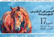 الفرس للجديدة يحتفي بتميز تربية الخيل من خلال أربع مباريات كبرى مخصصة للسلالات الأصيلة