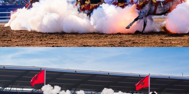 #معرض الفرس بالجديدة.. تتويج سربة المقدم شرف البحراوي بالجائزة الكبرى لصاحب الجلالة الملك محمد السادس للتبوريدة